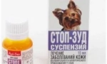 Zastavit svědění - pomoc při léčbě dermatitidy u koček